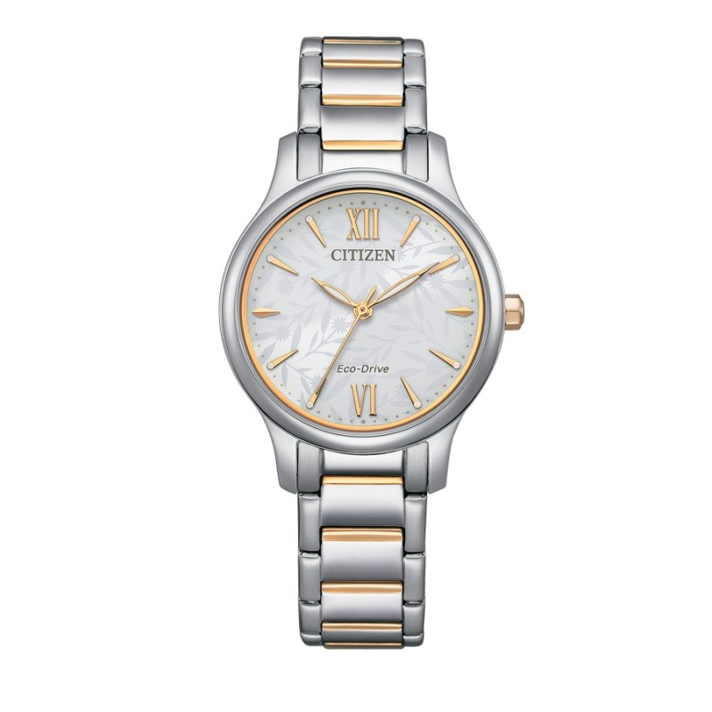 CITIZEN EM-0895-73A