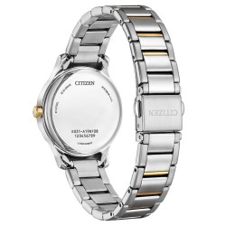 CITIZEN EM-0895-73A